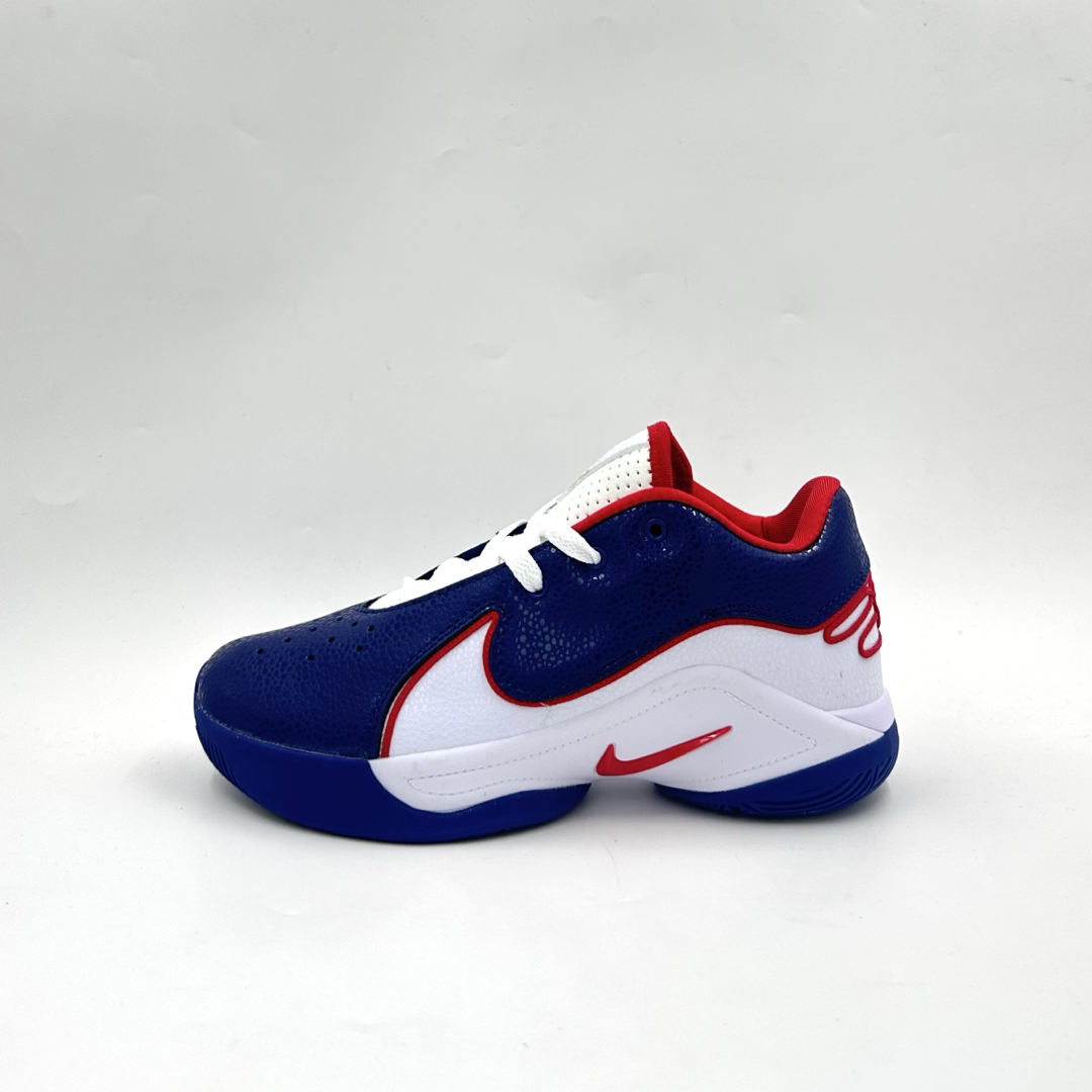 Nike Lebron 22 (USA PE)