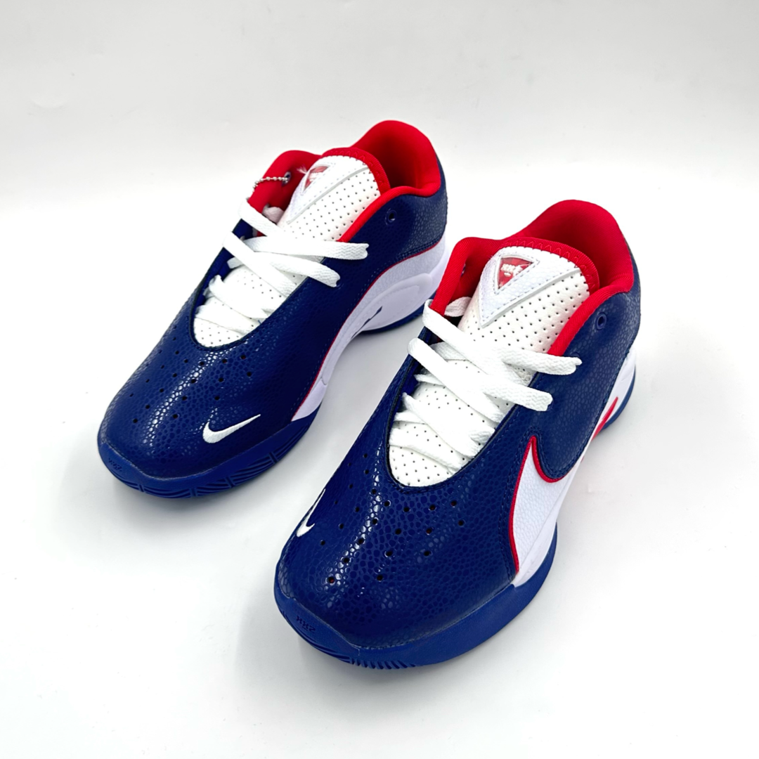 Nike Lebron 22 (USA PE)