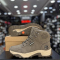 Timberland WP